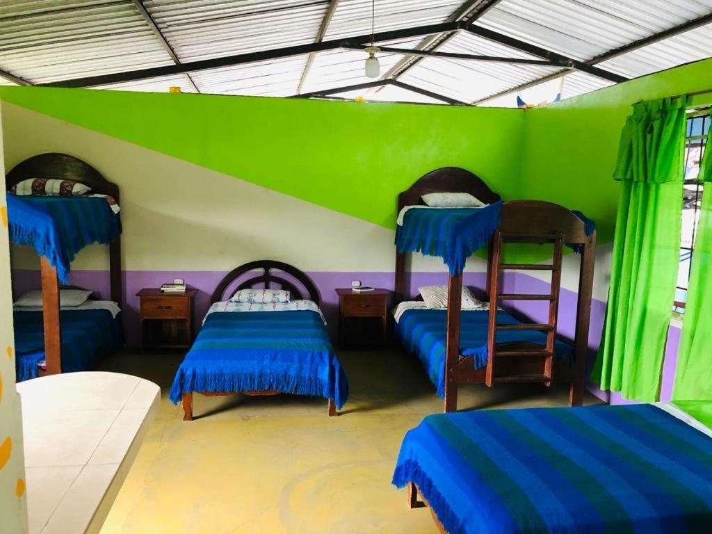 Zumag Sisa Hotell Tena Exteriör bild